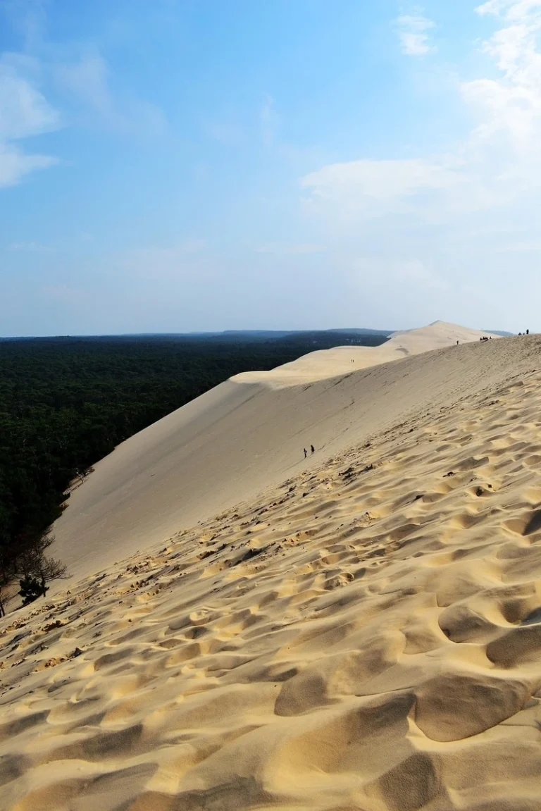 Contrast between sand and forest at the Dune du Pilat